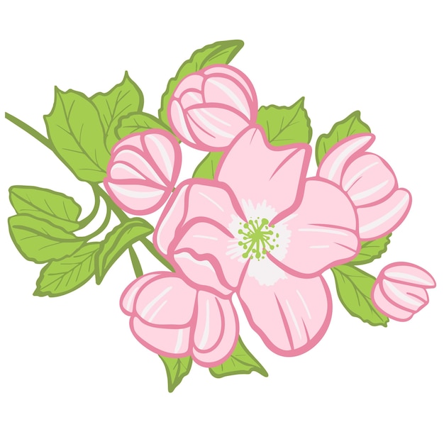 Blossoming apple tree branch sketch vector