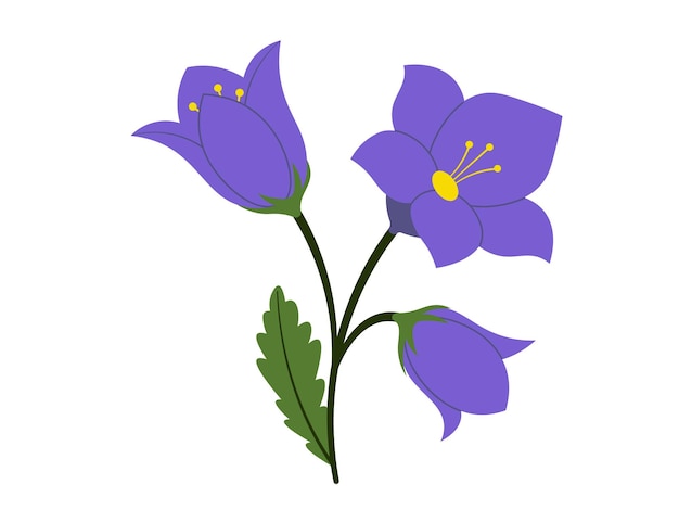 Blue Bell Spring Blossom Flowers Illustration