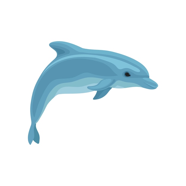 Blue dolphin vector Illustration on a white background