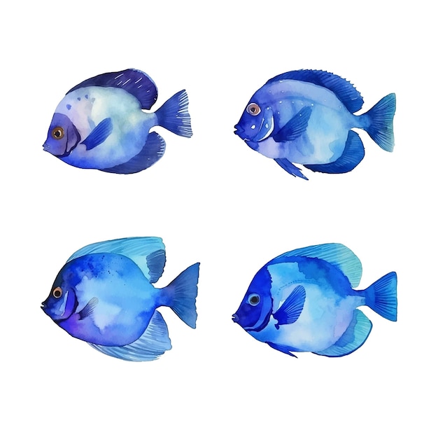 blue fish watercolor paint collection