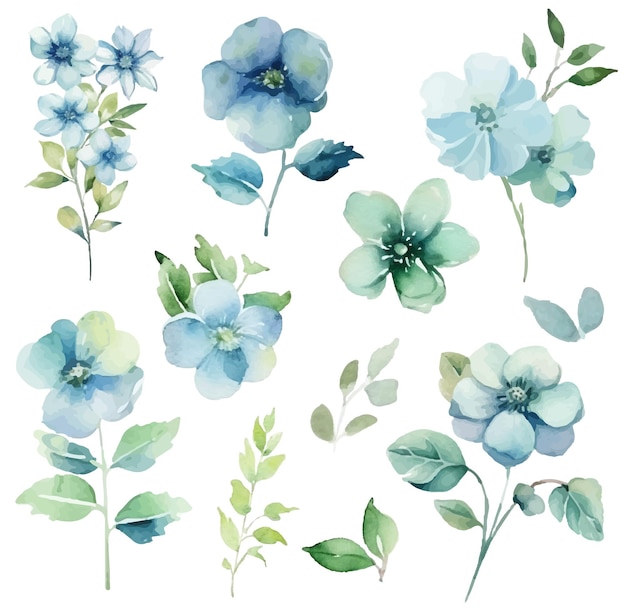 blue floral collection