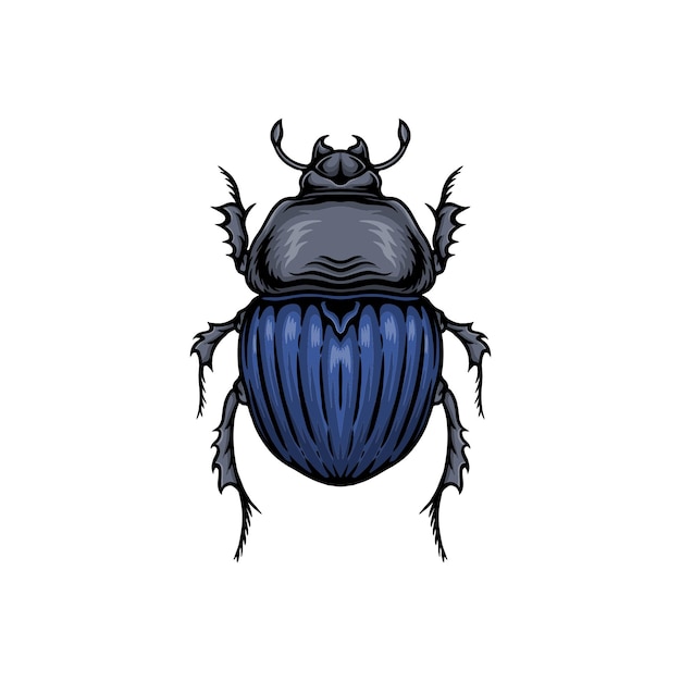 Blue fly beetle vector illustration