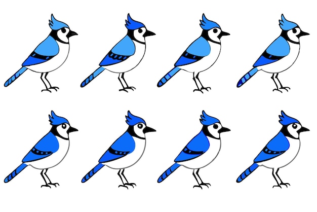 Vector blue jay bird line art