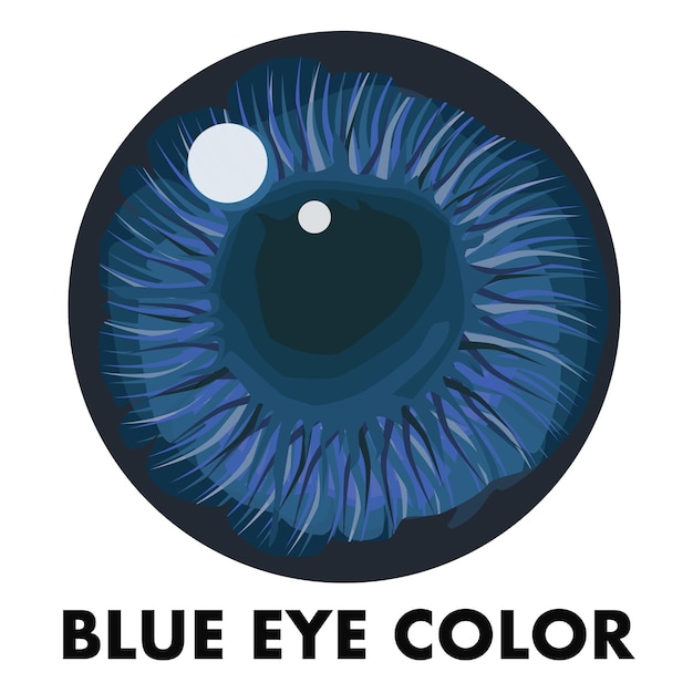 Blue pupil The eyes are blue The pupil of the human eye Illustration vector