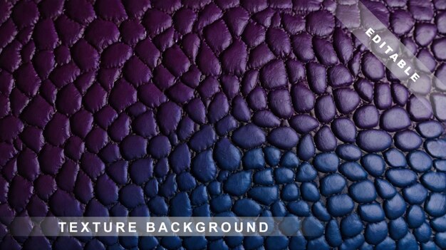 Vector blue purple blue and purple cover of the cover of a lizard