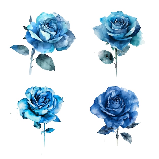 Blue Rose watercolor paint collection