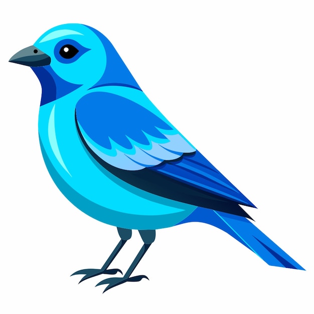 blue tanager bluegrey tanager flat illustration white background vector illustration