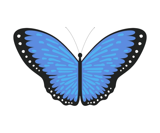 Blue tropical butterfly beautiful colorful flying insect for decorative element vector illustration