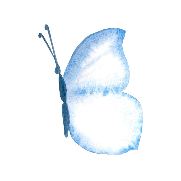 Blue watercolor butterfly