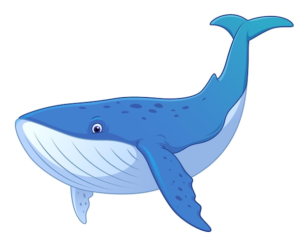 Blue Whale Cartoon Animal Illustration