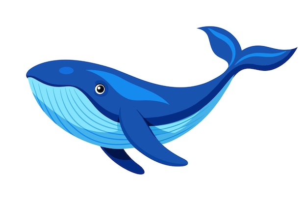 Blue whale flat animal vector pro style illustration