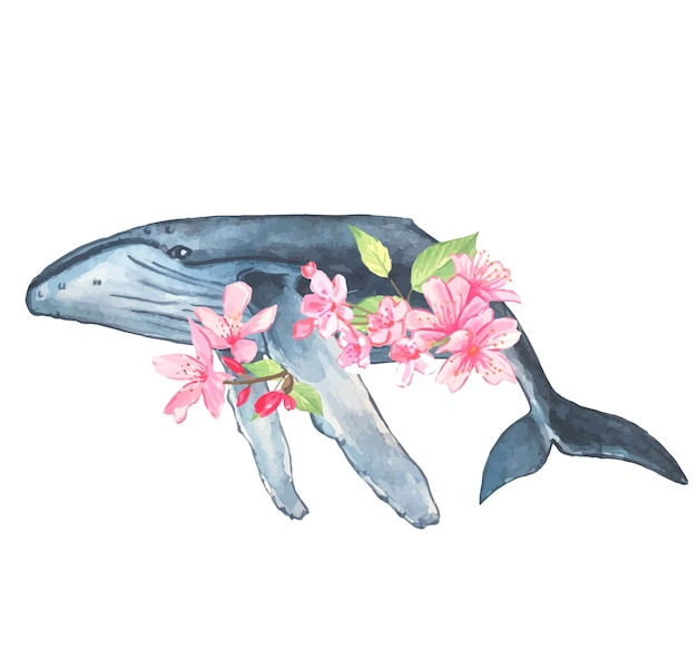 Blue whale with cherry blossoms  Watercolor handdrawn illustration