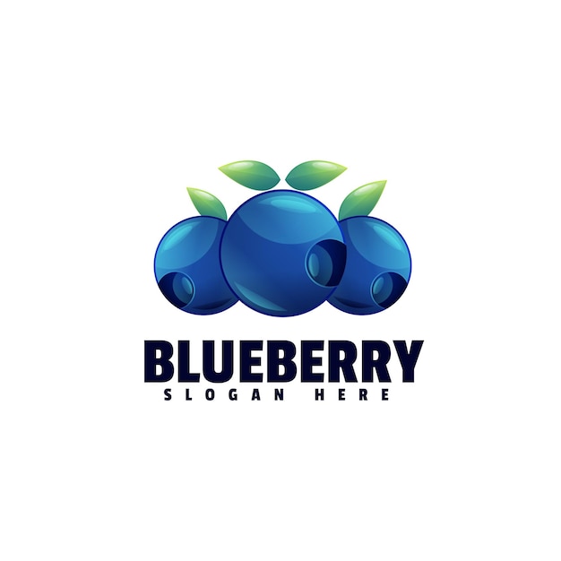 Blueberry Colorful Logo Design