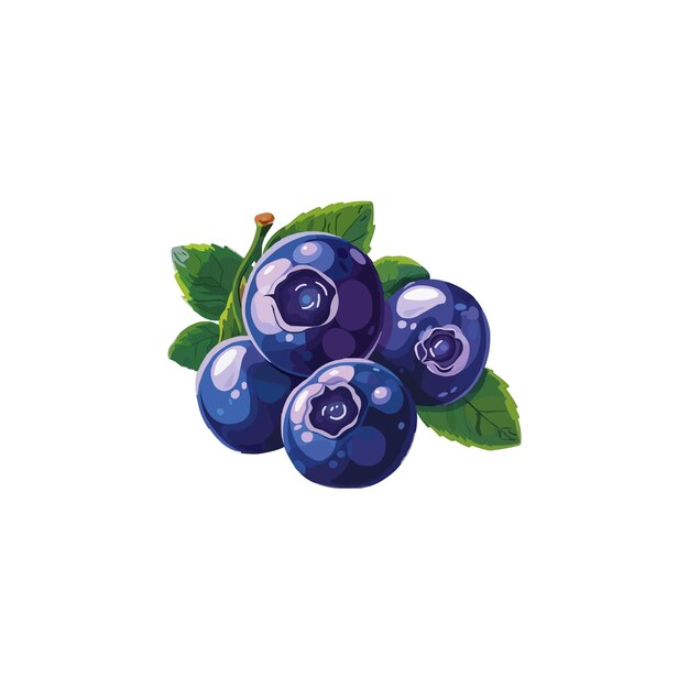 Vector blueberry flat vector illustration