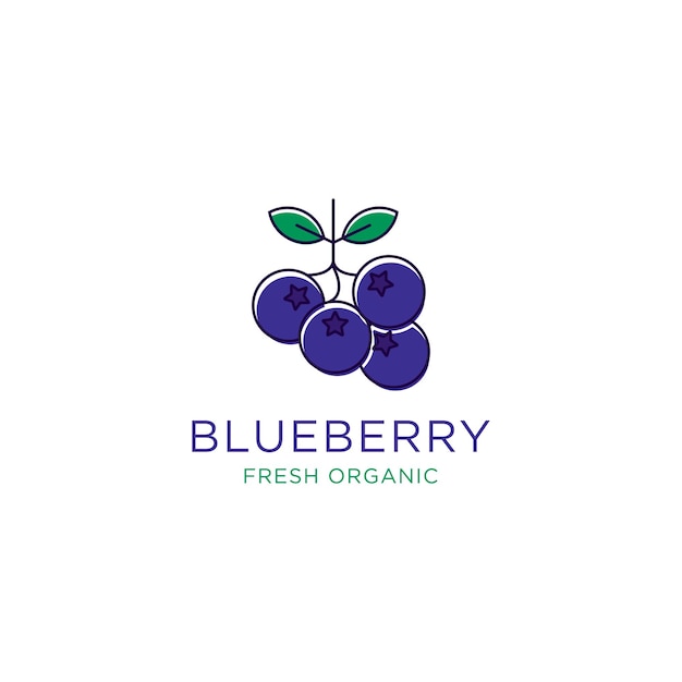 Blueberry Fruit logo design vector Blueberry template illustration