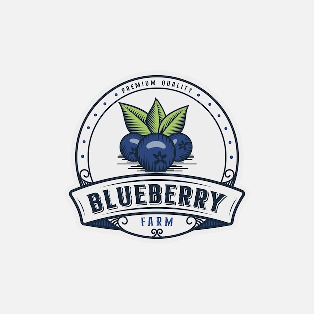 Blueberry Fruit Vintage Logo Design Inspiration For Farm