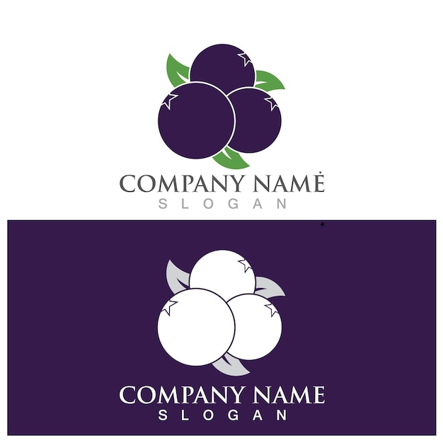 Blueberry logo and vector template