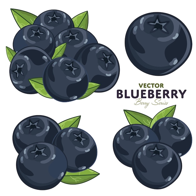 Blueberry Set