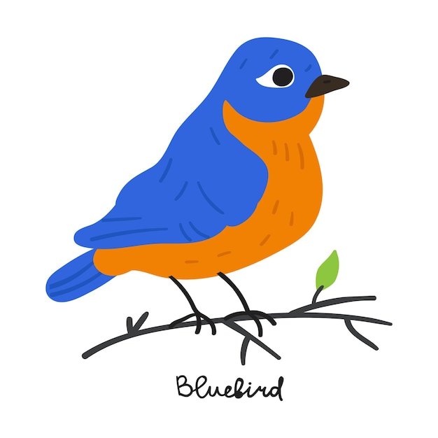 Bluebird on branch. Hand drawn vector illustration. Graphic design on white background.