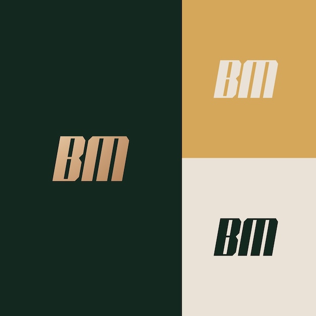 BM logo design vector image