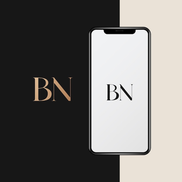 BN logo design vector image