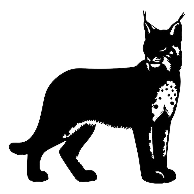 Vector bobcat silhouette vector on white background