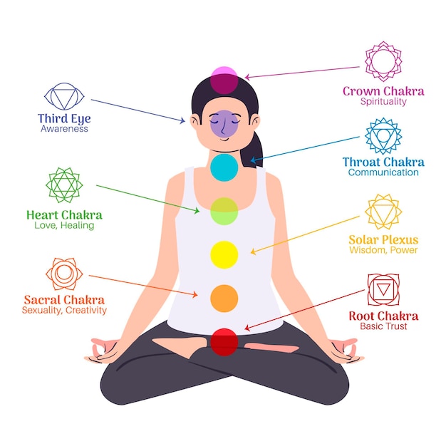 Vector body chakras