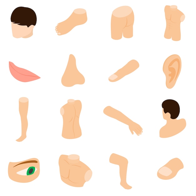 Body parts icons set 