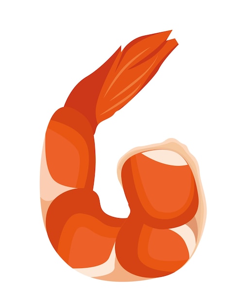 Boiled shrimp on an isolated background