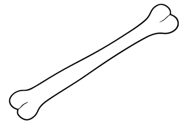 Vector bone line art vector