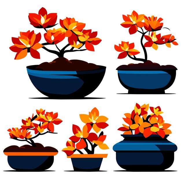 Vector bonsai japanese's trees grown in containers vector illustration