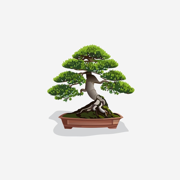 Vector bonsai tree design vector art