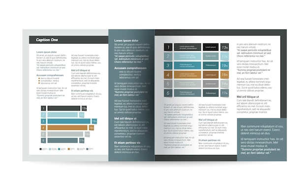 Booklet page Magazine layout for infographics Web template