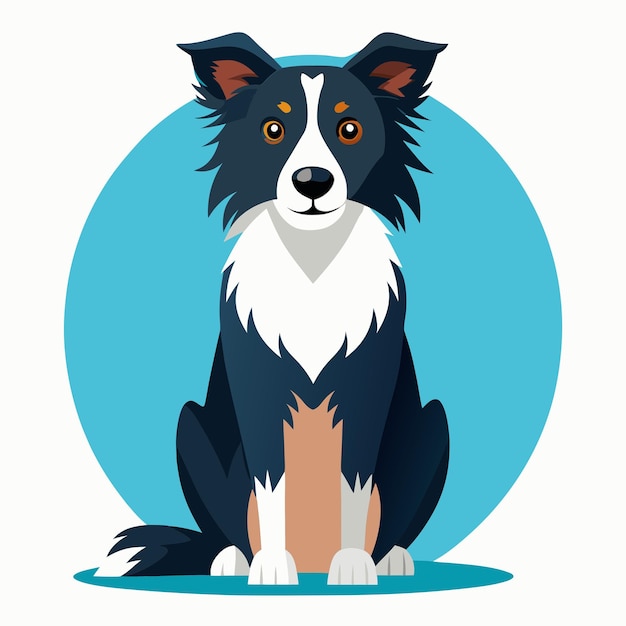 Border Collie dog vector Graphic