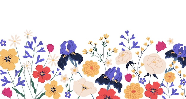 Border of gorgeous spring blooming flowers. Backdrop with iIrises, camomiles, roses, anemones and chrysanthemums. Floral flat vector illustration isolated on white background.