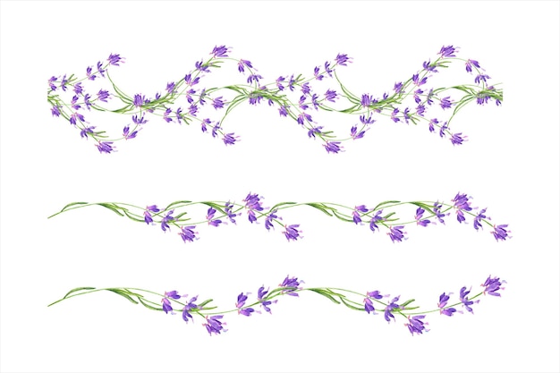 Border of lavander flower in a watercolor style isolated Vector illustration