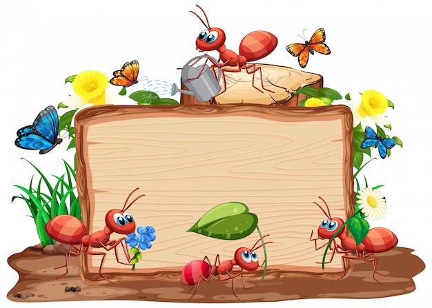 Border template  with insects in the garden background