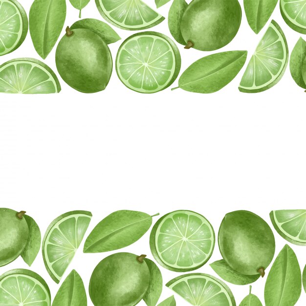 Vector borders of hand drawn limes, illustration on a white