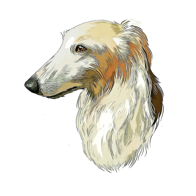 Borzoi Dog Breed Watercolor Sketch Hand Drawn Paint Illustration