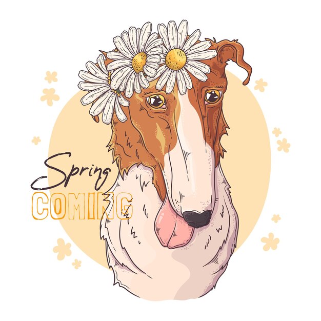 Vector borzoi dog with flowers isolated on white