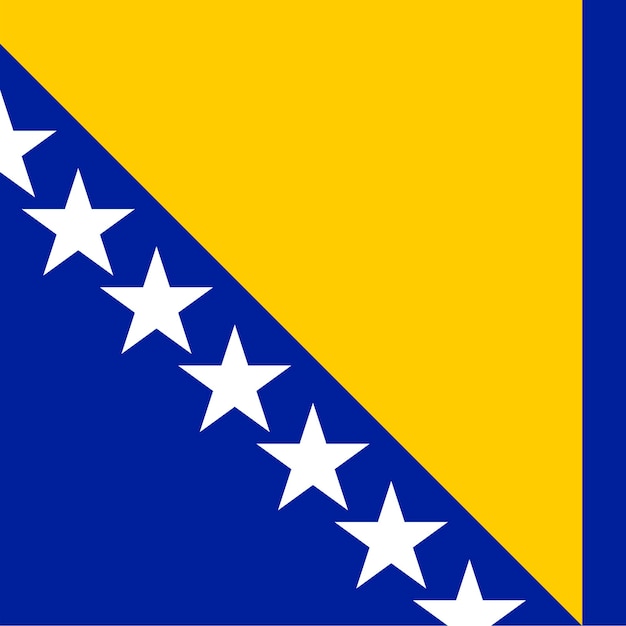 Bosnia and Herzegovina flag official colors Vector illustration