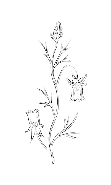 Botanical art Hand drawn continuous line drawing bluebell flower Minimalist prints