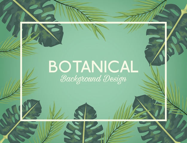 Botanical background