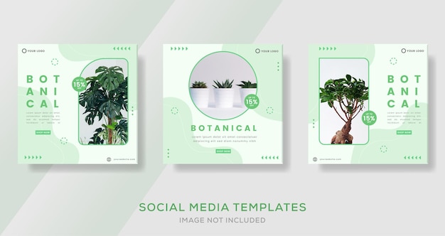 Botanical banner template for media social post preimum vector