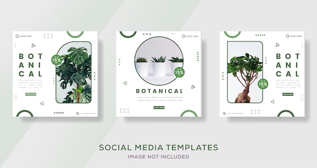 Botanical banner template for media social post. preimum vector