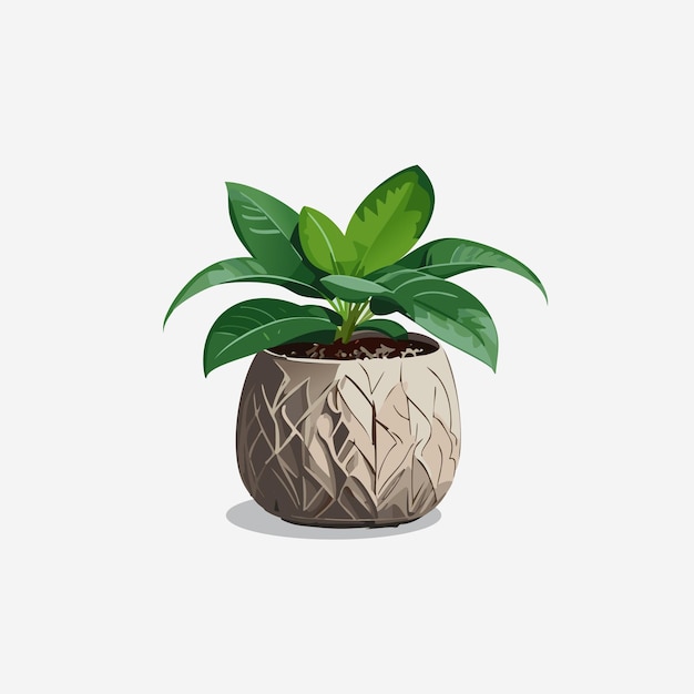 Botanical Beauty Vector Art of a Potted Plant