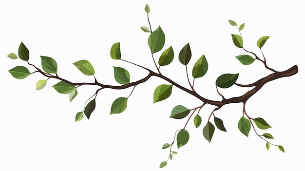 Vector botanical branch with leaves isolated icon vector illustration