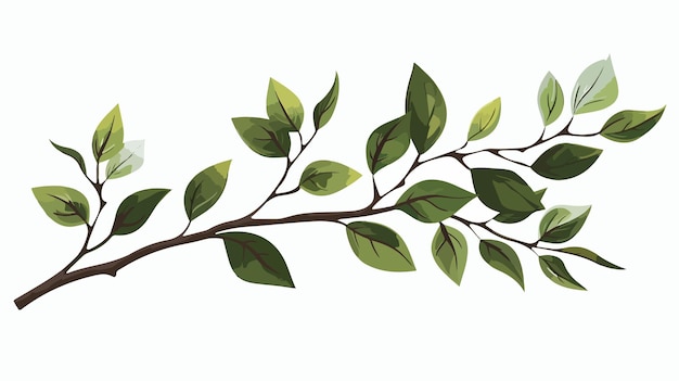 Vector botanical branch with leaves isolated icon vector illustration