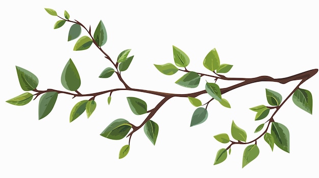 Vector botanical branch with leaves isolated icon vector illustration