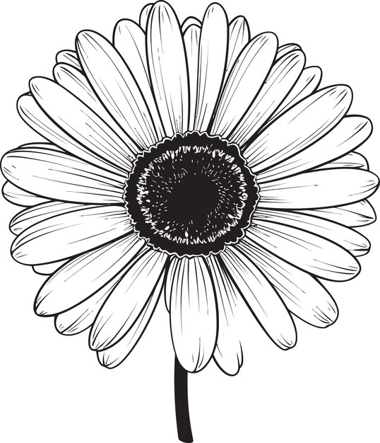 Botanical Charm Gerbera Daisy Icon Design Colorful Bloom Gerbera Daisy Logo in Vector